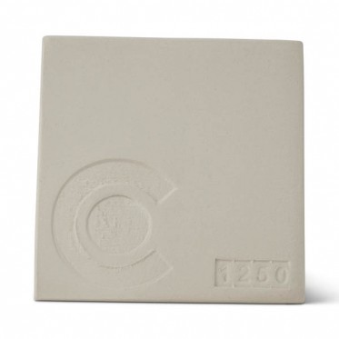  Stoneware Clay CS900 White 