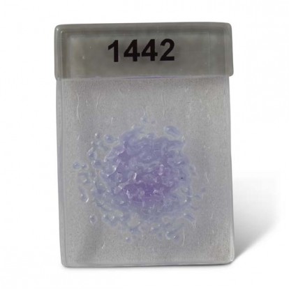  Frits 1442-91 fine Neo-Lavender 