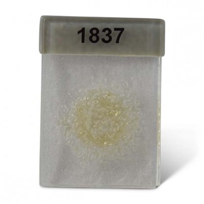  Fritta 1837-93 Grov,Med.Amber Tint 450 g 