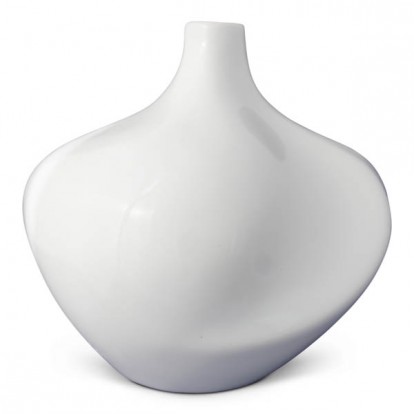  Earthenware Glaze 1019 White, Glossy 5 kg 