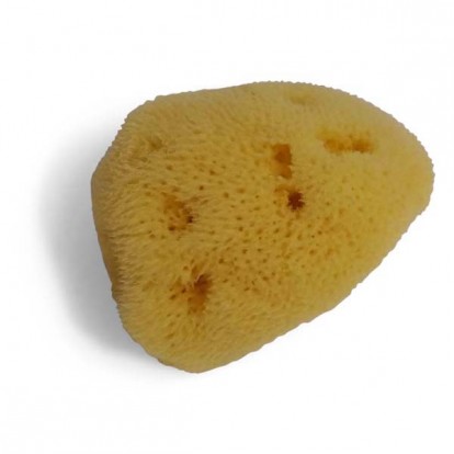  Levantine Sponge size 1 