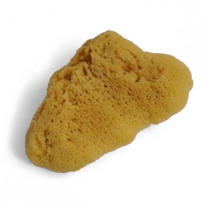  Levantine sponge size 3 