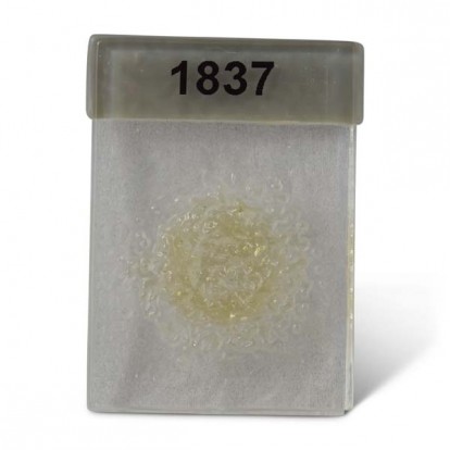  Fritta 1837-92 med. Med.Amber Tint 450 g 