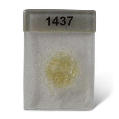  Powder 1437-98 Light Amber 